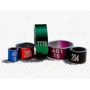 Colored anodized aluminum rings.
