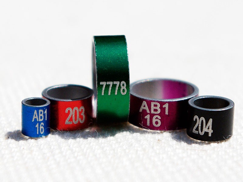 Colored anodized aluminum rings.