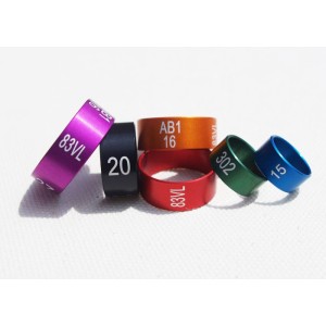 Special Rings in coloured Aluminium