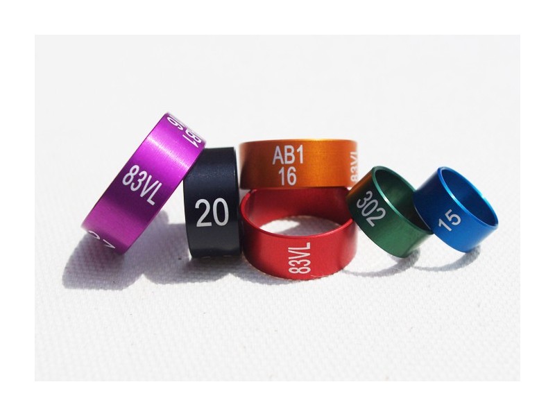 Special Rings in coloured Aluminium