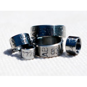 Stainless Steel rings