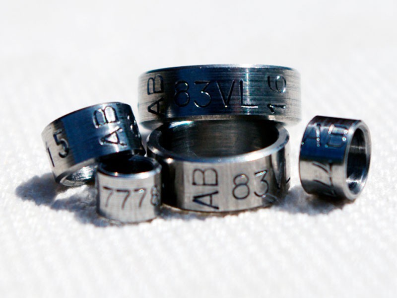 Stainless Steel rings