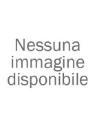 Anelli per ornitologia